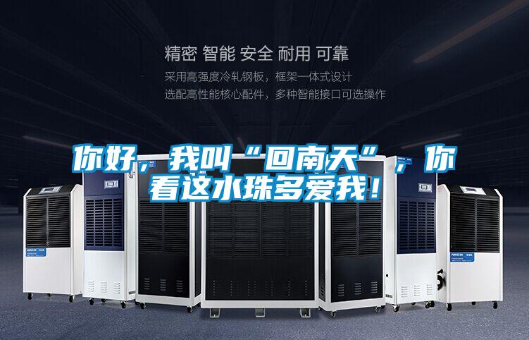 你好，我叫“回南天”，你看這水珠多愛(ài)我！