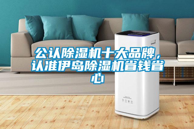 公認(rèn)除濕機(jī)十大品牌，認(rèn)準(zhǔn)伊島除濕機(jī)省錢省心