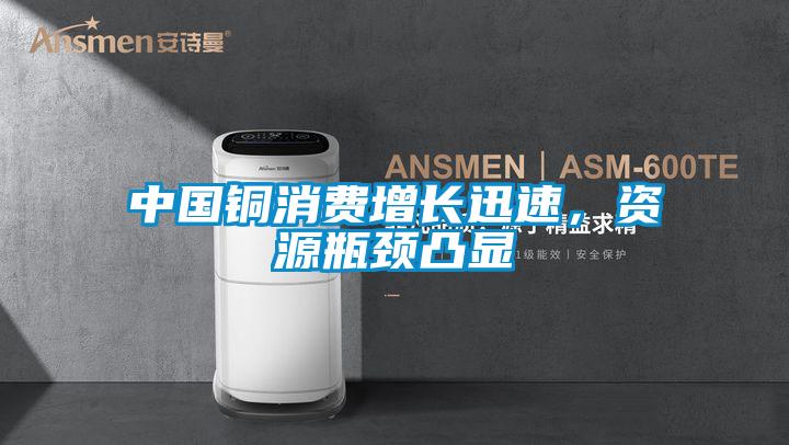 中國銅消費增長迅速，資源瓶頸凸顯
