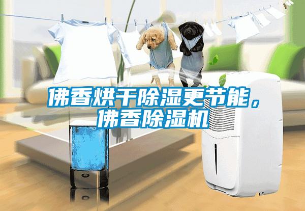 佛香烘干除濕更節(jié)能，佛香除濕機