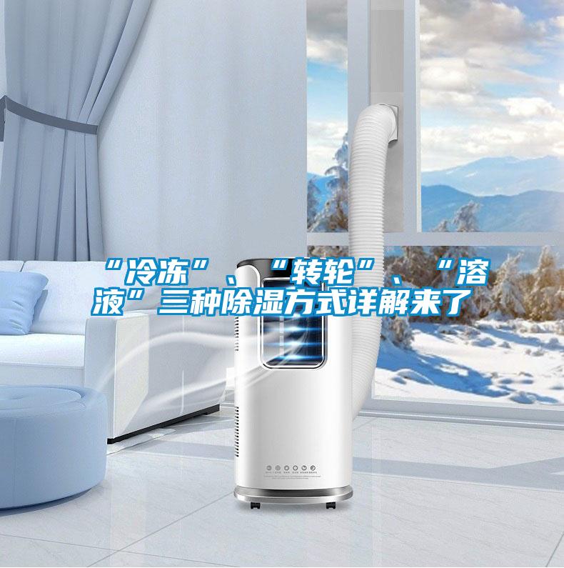 “冷凍”、“轉(zhuǎn)輪”、“溶液”三種除濕方式詳解來了
