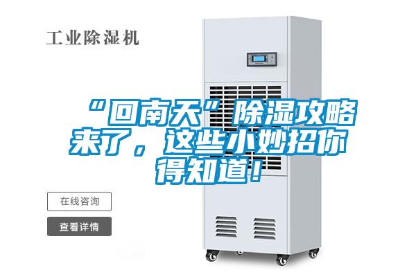 “回南天”除濕攻略來了，這些小妙招你得知道！