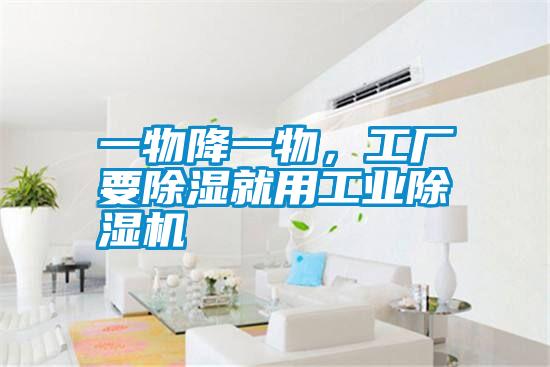 一物降一物，工廠要除濕就用工業(yè)除濕機