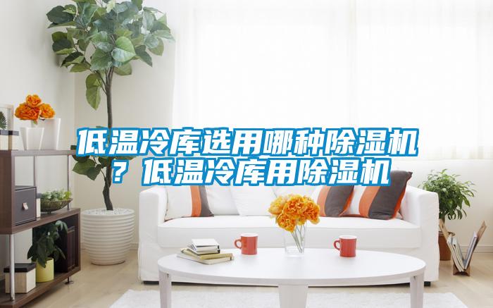 低溫冷庫(kù)選用哪種除濕機(jī)？低溫冷庫(kù)用除濕機(jī)
