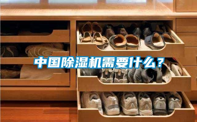 中國除濕機(jī)需要什么？