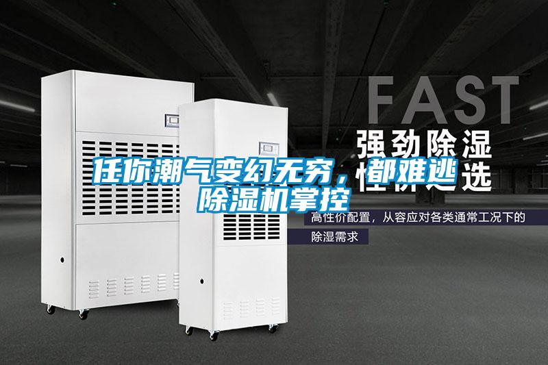 任你潮氣變幻無(wú)窮，都難逃除濕機(jī)掌控