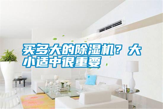 買(mǎi)多大的除濕機(jī)？大小適中很重要