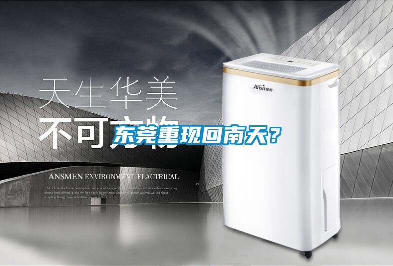 東莞重現(xiàn)回南天？