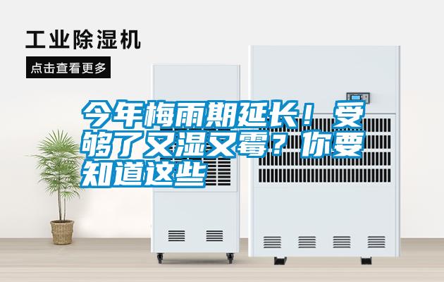 今年梅雨期延長(zhǎng)！受夠了又濕又霉？你要知道這些