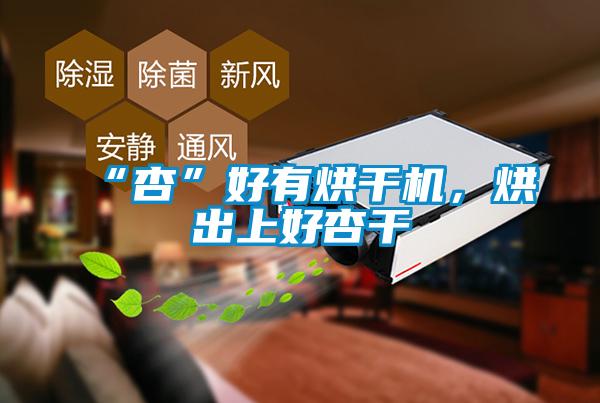 “杏”好有烘干機，烘出上好杏干