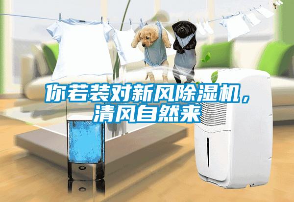 你若裝對新風(fēng)除濕機(jī)，清風(fēng)自然來