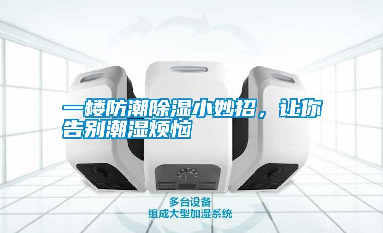 一樓防潮除濕小妙招，讓你告別潮濕煩惱