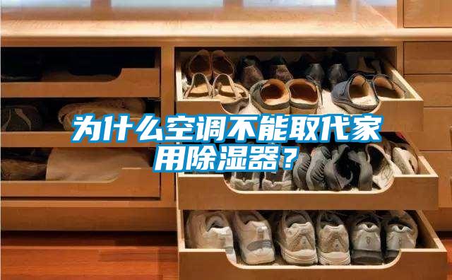 為什么空調(diào)不能取代家用除濕器？