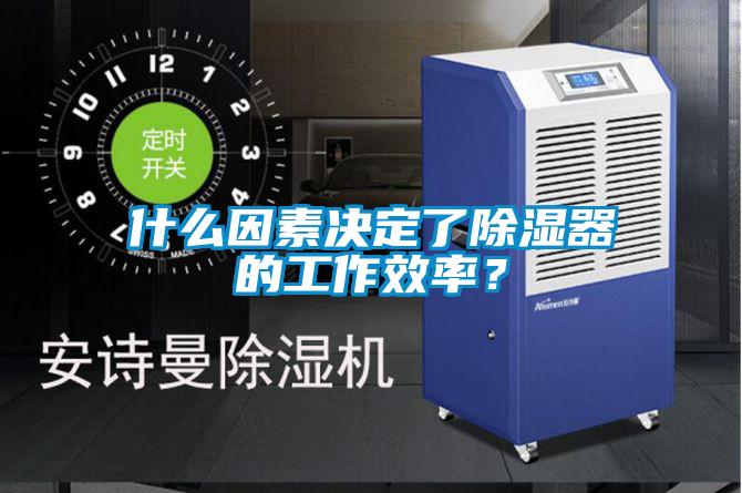 什么因素決定了除濕器的工作效率？