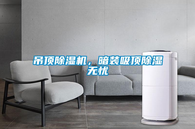吊頂除濕機(jī)，暗裝吸頂除濕無憂