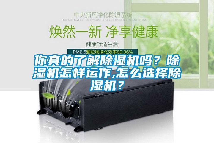 你真的了解除濕機(jī)嗎？除濕機(jī)怎樣運(yùn)作,怎么選擇除濕機(jī)？