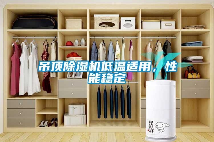 吊頂除濕機(jī)低溫適用，性能穩(wěn)定