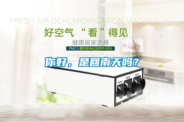 你好，是回南天嗎？
