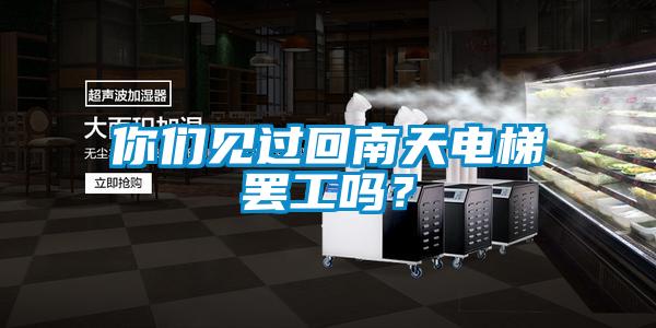 你們見過回南天電梯罷工嗎？