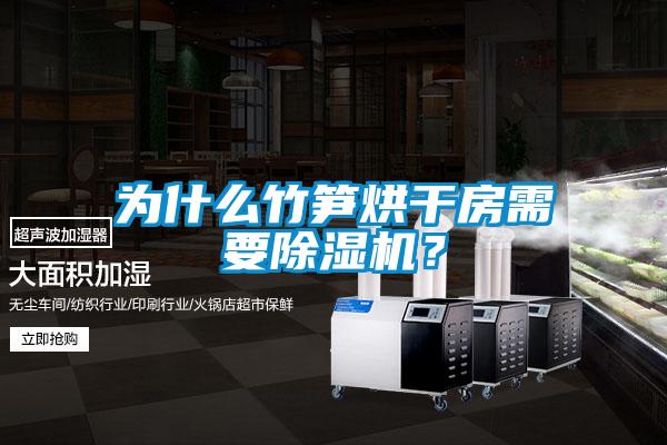 為什么竹筍烘干房需要除濕機(jī)？