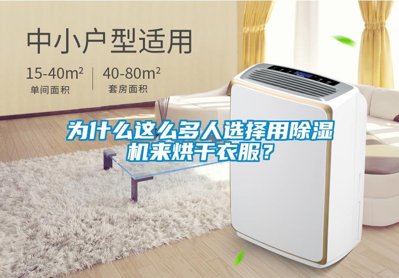 為什么這么多人選擇用除濕機來烘干衣服？