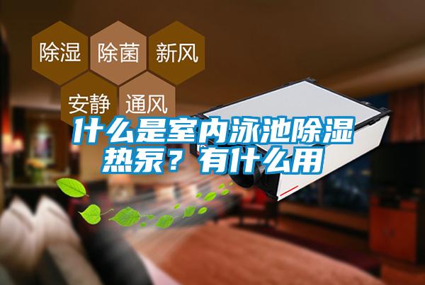 什么是室內泳池除濕熱泵？有什么用