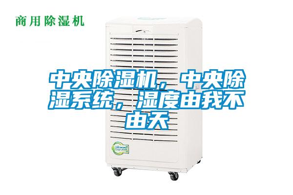 中央除濕機，中央除濕系統(tǒng)，濕度由我不由天