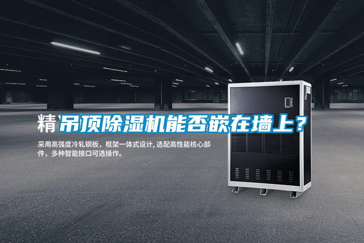 吊頂除濕機能否嵌在墻上？