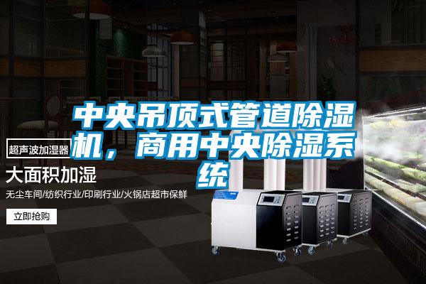 中央吊頂式管道除濕機，商用中央除濕系統(tǒng)