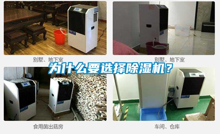 為什么要選擇除濕機(jī)？