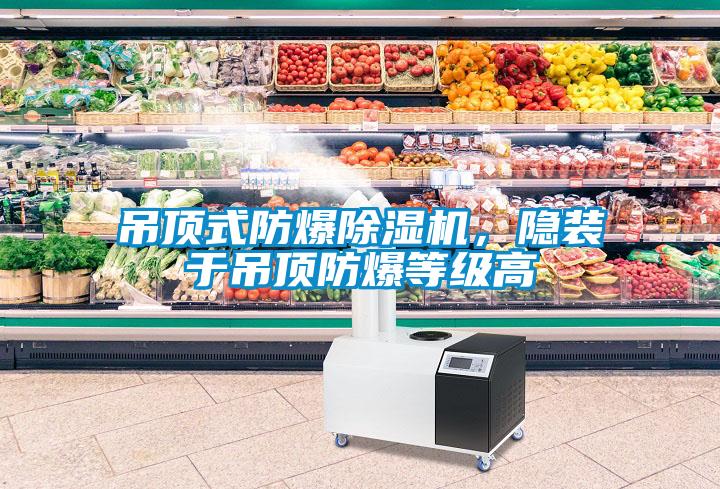 吊頂式防爆除濕機(jī)，隱裝于吊頂防爆等級高