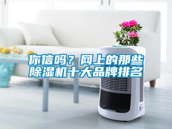 你信嗎？網(wǎng)上的那些除濕機十大品牌排名