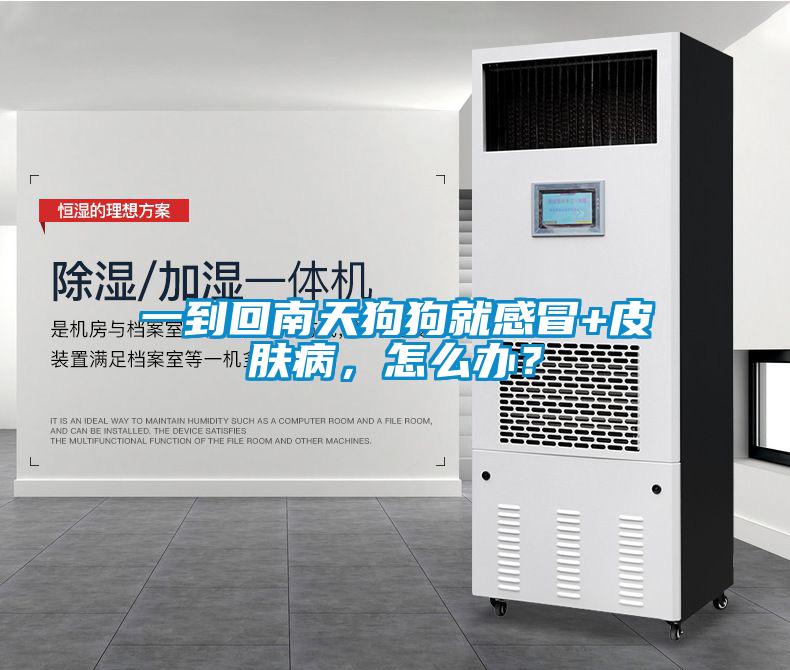一到回南天狗狗就感冒+皮膚病，怎么辦？