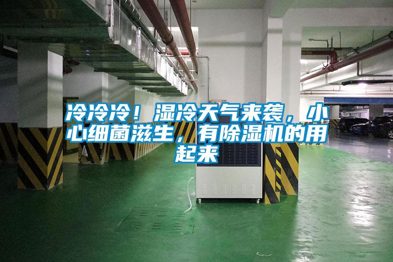 冷冷冷！濕冷天氣來(lái)襲，小心細(xì)菌滋生，有除濕機(jī)的用起來(lái)