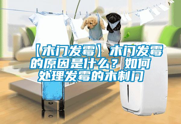 【木門發(fā)霉】木門發(fā)霉的原因是什么？如何處理發(fā)霉的木制門