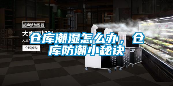 倉庫潮濕怎么辦，倉庫防潮小秘訣