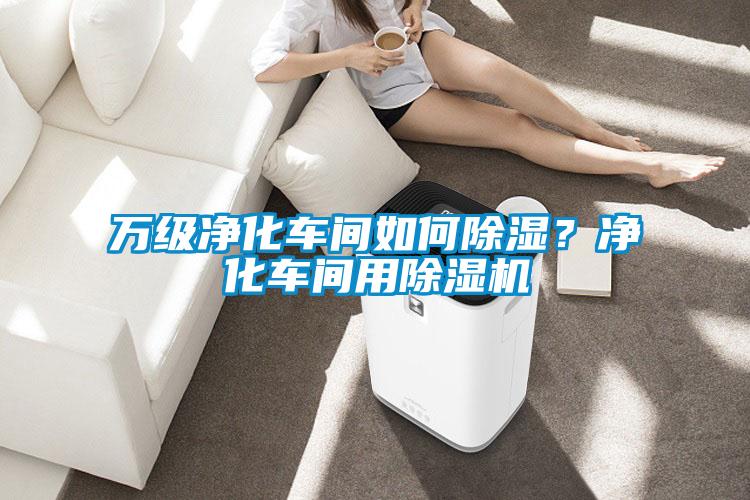 萬(wàn)級(jí)凈化車(chē)間如何除濕？?jī)艋?chē)間用除濕機(jī)