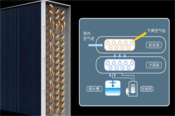 別墅為什么必須要考慮新風(fēng)除濕？