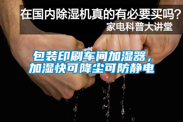 包裝印刷車間加濕器，加濕快可降塵可防靜電