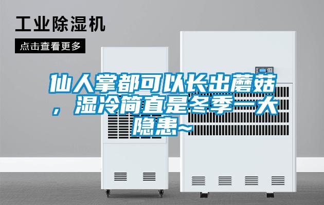 仙人掌都可以長出蘑菇，濕冷簡直是冬季一大隱患~