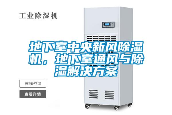 地下室中央新風(fēng)除濕機(jī)，地下室通風(fēng)與除濕解決方案