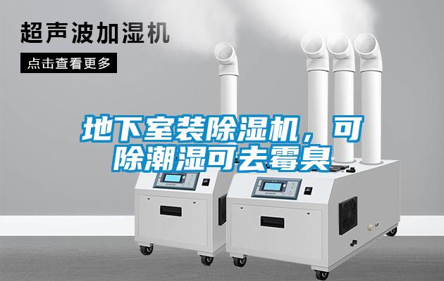 地下室裝除濕機(jī)，可除潮濕可去霉臭