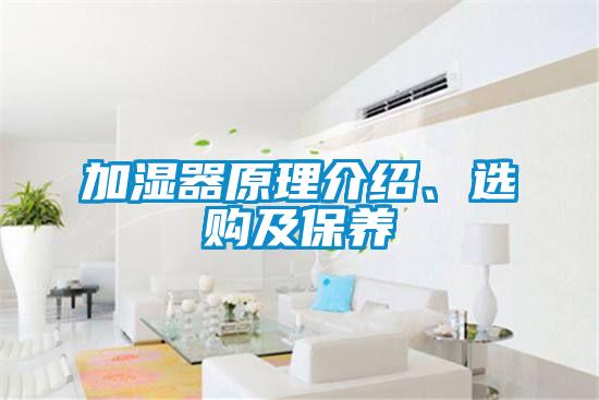 加濕器原理介紹、選購(gòu)及保養(yǎng)
