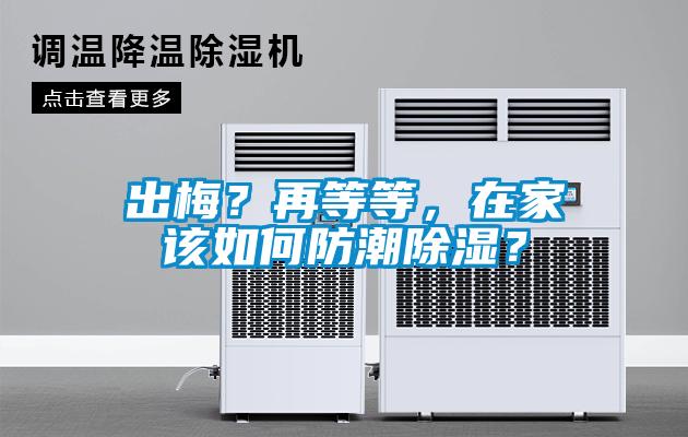 出梅？再等等，在家該如何防潮除濕？