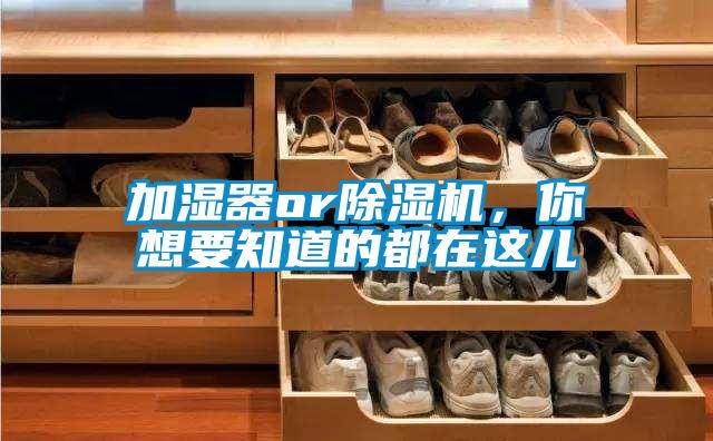 加濕器or除濕機，你想要知道的都在這兒