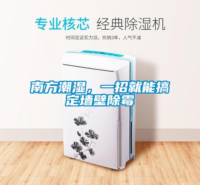南方潮濕，一招就能搞定墻壁除霉