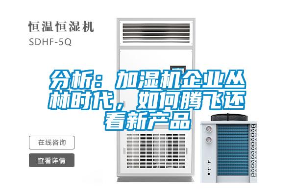 分析：加濕機(jī)企業(yè)叢林時代，如何騰飛還看新產(chǎn)品