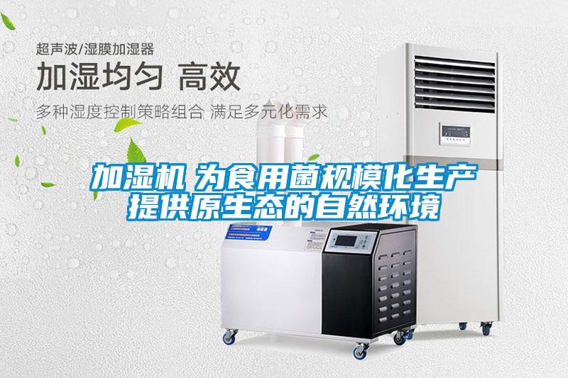 加濕機(jī)　為食用菌規(guī)?；a(chǎn)提供原生態(tài)的自然環(huán)境