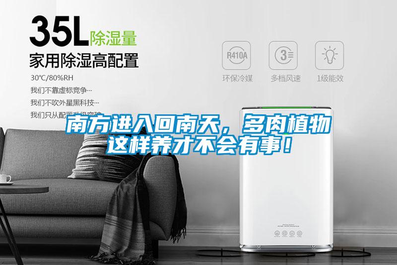南方進入回南天，多肉植物這樣養(yǎng)才不會有事！