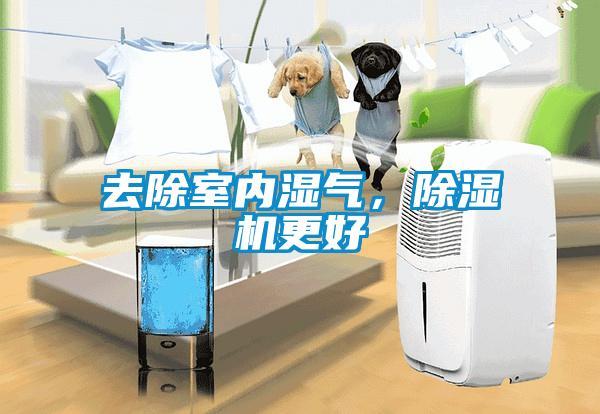 去除室內(nèi)濕氣，除濕機(jī)更好